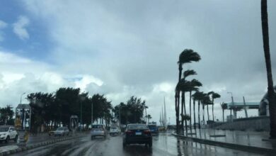 حالة الطقس اليوم السبت 24 يناير 2026 في مصر تشهد بردًا قارسًا ليلاً