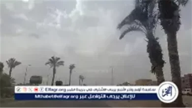 حالة الطقس غدًا السبت 24 يناير 2026 تشير إلى أجواء شديدة البرودة في الصباح وتميل إلى الدفء خلال النهار