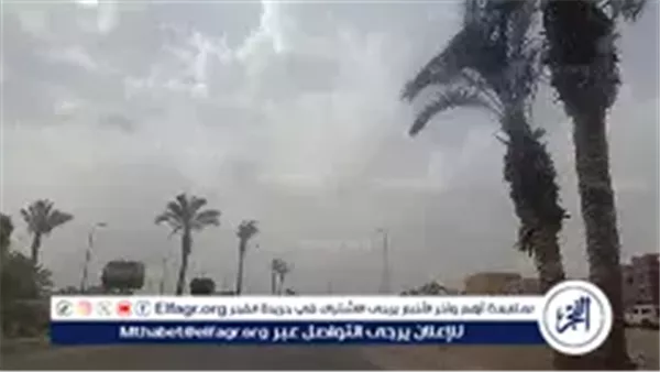 حالة الطقس غدًا السبت 24 يناير 2026 تشير إلى أجواء شديدة البرودة في الصباح وتميل إلى الدفء خلال النهار
