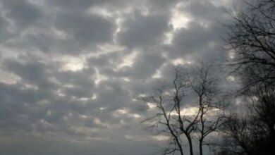 حالة طقس الأحد 1 فبراير 2026 مع نشاط في الرياح وارتفاع مستمر في درجات الحرارة