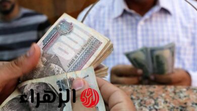 حكومة تتخذ قرارا عاجلا يسعد جميع أصحاب المعاشات قبل حلول شهر رمضان