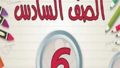 ساعة الصفر تقترب لنشر نتيجة الشهادة الابتدائية 2026 عبر بوابة التعليم الأساسي