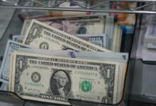 سعر الدولار مقابل الجنيه المصري اليوم الجمعة 23 يناير 2026 وفقًا لآخر تحديث في الأسواق والبنك المركزي