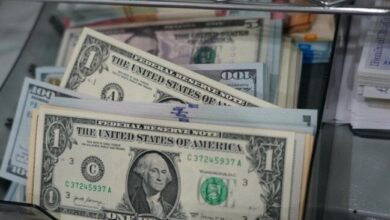 سعر الدولار مقابل الجنيه المصري اليوم الجمعة 23 يناير 2026 وفقًا لآخر تحديث في الأسواق والبنك المركزي