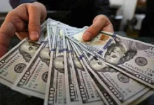 سعر الدولار مقابل الجنيه المصري اليوم الجمعة بتاريخ 23 يناير 2026 بعد الانخفاض في البنوك وسط توقعات باستقرار السوق