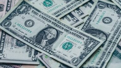 سعر الدولار مقابل الجنيه في البنوك والصرافة اليوم الجمعة 23 يناير 2026 في السوق المصري والمؤسسات المالية