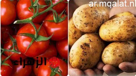 سعر الطماطم اليوم في الأسواق المحلية ومتوسطات الأسعار العالمية