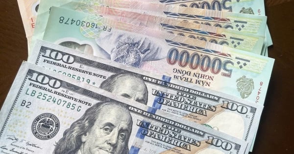 سعر صرف الدولار الأمريكي في 24 يناير 2026 يظل مستقرا في السوق المحلية مع استقرار الأداء المالي والاقتصادي