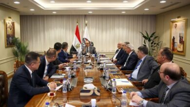 شركة صينية تنوي إقامة مشروع لإنتاج بطاريات السيارات الكهربائية في مصر