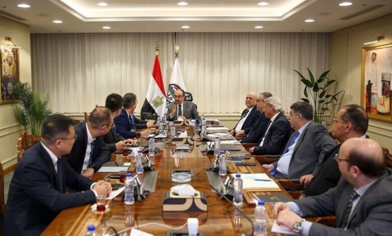 شركة صينية تنوي إقامة مشروع لإنتاج بطاريات السيارات الكهربائية في مصر