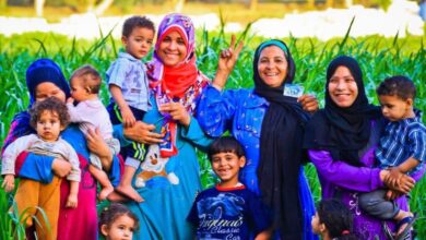 طريقة الاستعلام عن معاش تكافل وكرامة لعام 2026 باستخدام الرقم القومي