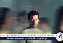 على قد الحب يتصدر العد التنازلي لشهر رمضان 2026 مع شريف سلامة ونيللي كريم في حكاية إنسانية دافئة تجمع بين القلب والواقع