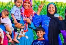 كيفية الاستعلام عن معاش تكافل وكرامة لعام 2026 عبر موقع وزارة التضامن