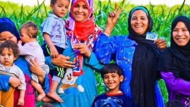 كيفية الاستعلام عن معاش تكافل وكرامة لعام 2026 عبر موقع وزارة التضامن