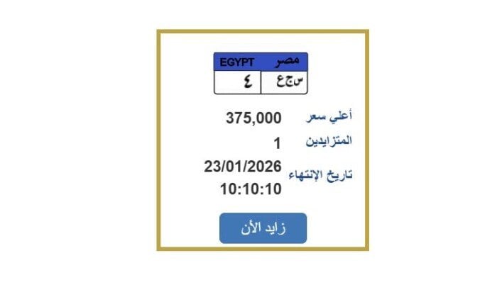 كيفية الحصول على لوحة سيارة مميزة عبر الإنترنت خلال أسبوع