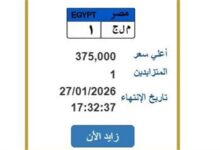 لوحة سيارة مميزة معروضة للبيع بسعر يصل إلى 375 ألف جنيه