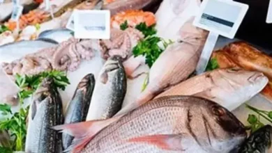 متابعة أسعار السمك اليوم السبت 31 يناير 2026 في الأسواق المحلية