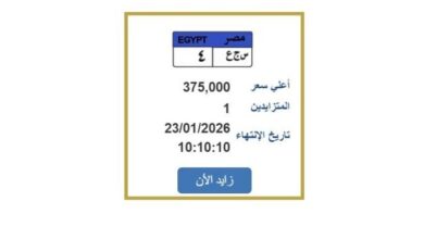 مزايدة نارية على لوحة سيارة مميزة بسعر 375 ألف جنيه تعرف على الخطوات