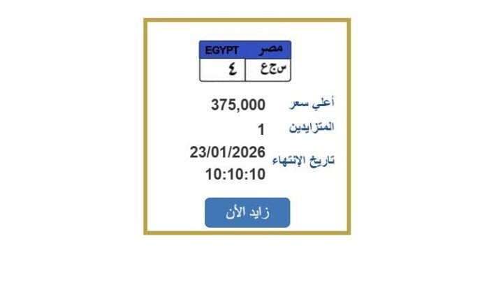 مزايدة نارية على لوحة سيارة مميزة بسعر 375 ألف جنيه تعرف على الخطوات