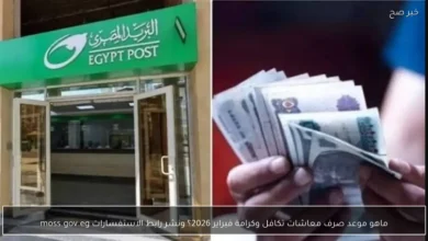 موعد صرف معاشات تكافل وكرامة لشهر فبراير 2026 ورابط الاستفسارات moss.gov.eg