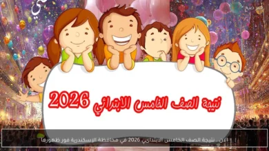 نتائج الصف الخامس الابتدائي في محافظة الإسكندرية لعام 2026 تعلن فور ظهورها