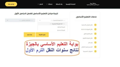 نتائج سنوات النقل 2026 في الجيزة تظهر نتائجها عبر بوابة التعليم الأساسي الرابط المباشر