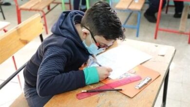 نتيجة الصف السادس الابتدائي برقم الجلوس والاسم 2026 جاهزة عبر الرابط الرسمي الآن للأسبوع الحالي