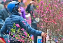 هل ستبقى الظروف قاسية وباردة كما كانت في السنوات الماضية