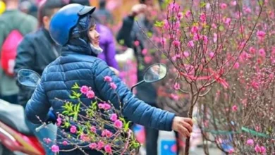 هل ستبقى الظروف قاسية وباردة كما كانت في السنوات الماضية