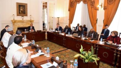 وزير الخارجية يلتقي بممثلي منظمات ومكاتب الاتحاد الأفريقي في مصر لتعزيز التعاون والتنسيق