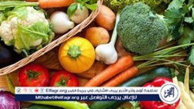 أسعار الخضروات اليوم الأربعاء 4 فبراير 2026 في أسواق المنيا