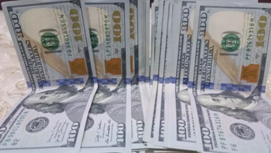 سعر 100 دولار في العراق اليوم 2026