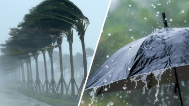 طقس الجزائر غدًا