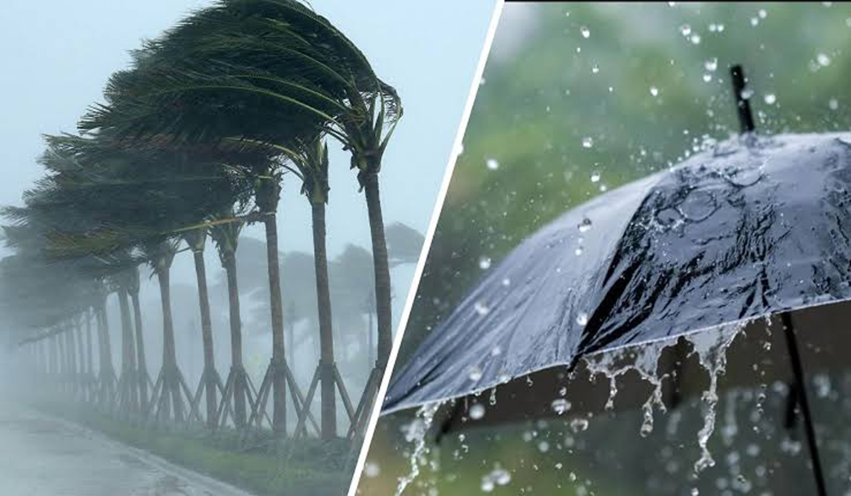 طقس الجزائر غدًا