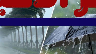 طقس الجزائر غدًا