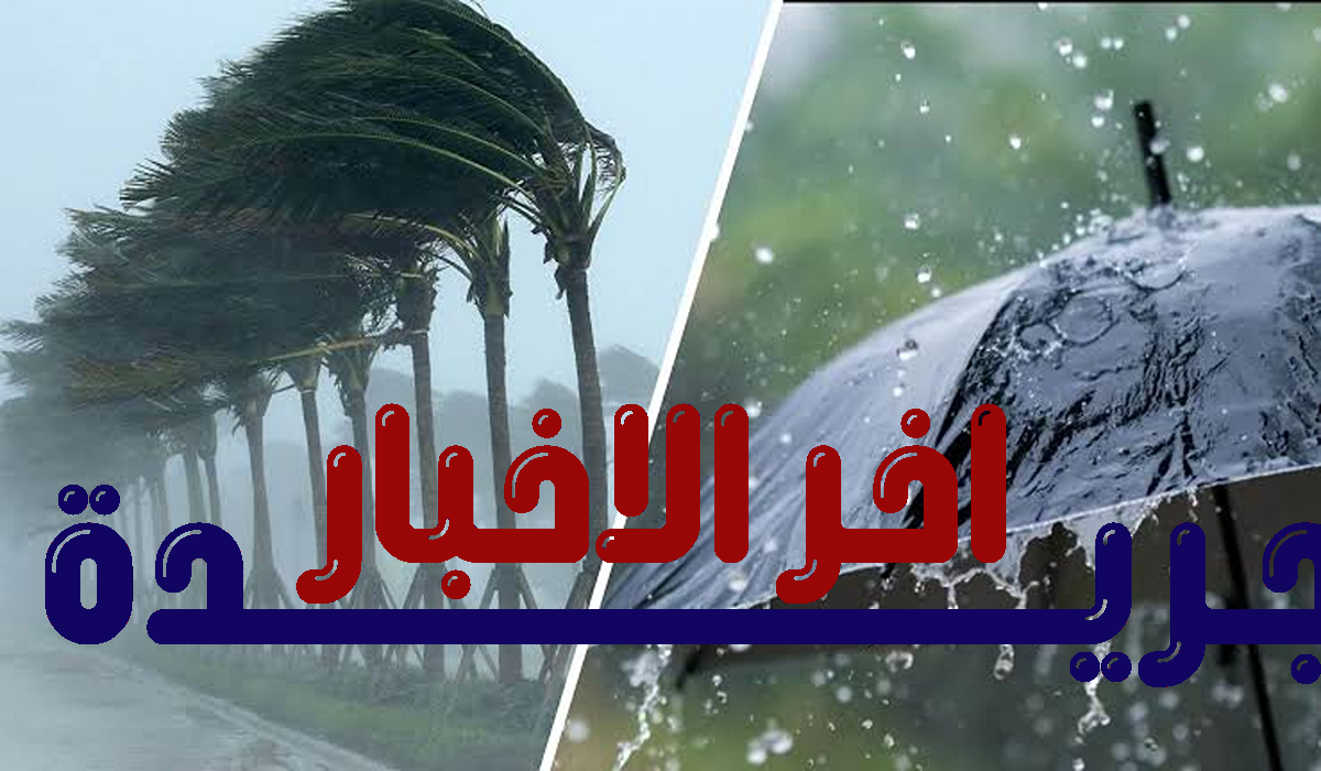 طقس الجزائر غدًا