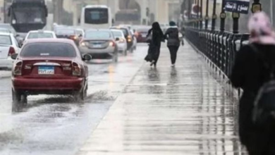 الطقس غدا في مصر