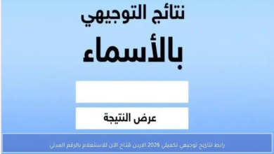 نتائج التوجيهي التكميلي 2007