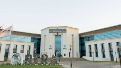 30 شركة تشارك في أول مزاد رسمي للأرقام المختصرة والمميزة في مصر