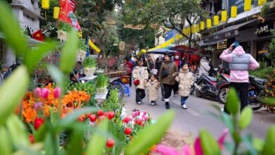 أجواء دافئة مع هطول أمطار خفيفة تعم شمال ووسط فيتنام