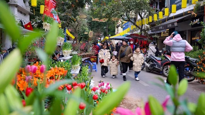 أجواء دافئة مع هطول أمطار خفيفة تعم شمال ووسط فيتنام