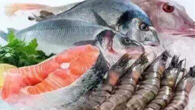 أسعار الأسماك اليوم الأربعاء 4 فبراير 2026 تعرف على أسعار الجمبري
