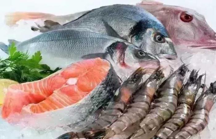 أسعار الأسماك اليوم الأربعاء 4 فبراير 2026 تعرف على أسعار الجمبري