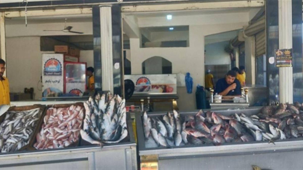أسعار الأسماك اليوم الخميس 5 فبراير 2026 تتراوح بين 180 جنيهًا وغالبية الأنواع في السوق