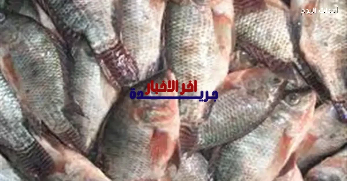 أسعار الأسماك اليوم السبت 7 فبراير 2026 تقرير شامل عن استقرار وارتفاعات السوق المحلي
