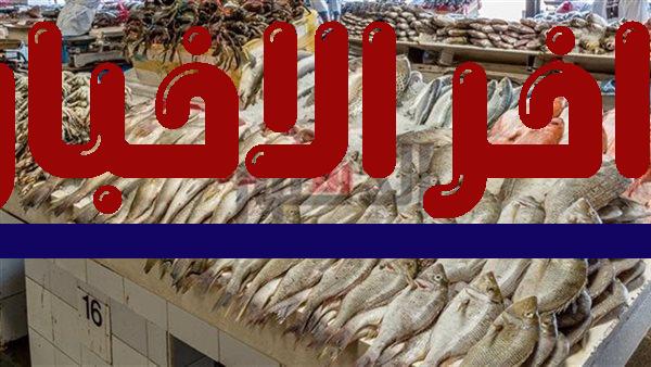 أسعار الأسماك في بحيرة البحيرة خلال يوم الثلاثاء من بحر إلى مركز