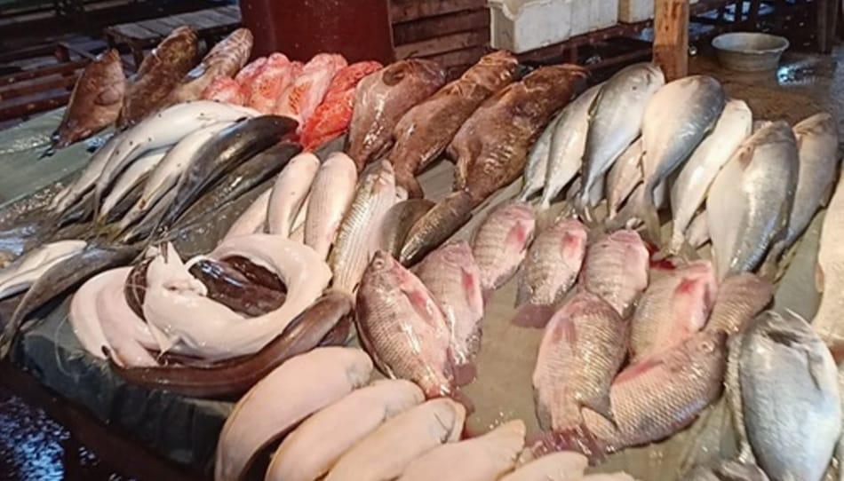 أسعار الأسماك في سوق العبور اليوم الخميس 5 فبراير 2026