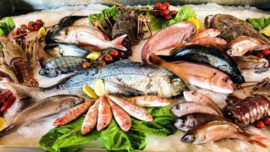 أسعار الأسماك والجمبري تشهد ارتفاعات ملحوظة مع بداية عام 2026 رغم التحديات الاقتصادية