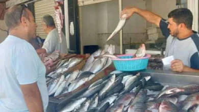 أسعار الجمبري والكابوريا في الأسواق اليوم الاثنين 2 فبراير 2026