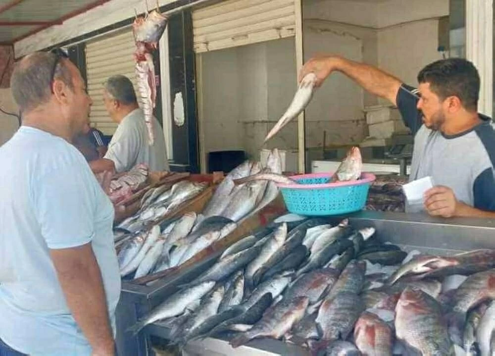 أسعار الجمبري والكابوريا في الأسواق اليوم الاثنين 2 فبراير 2026